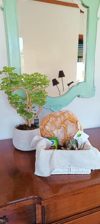 Big Fish 1 - Charming Beach Apartment Praia de Mira Esterno foto